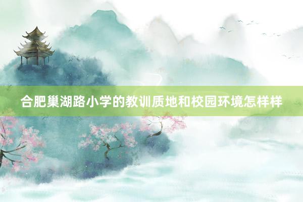 合肥巢湖路小学的教训质地和校园环境怎样样