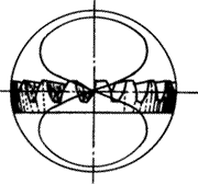 X݆g(sh)ZFX݆(zhn)pX݆X݆