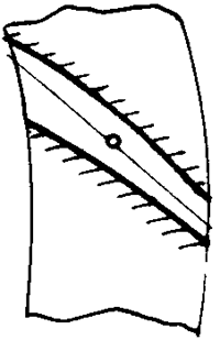 FX݆͜pX݆g(sh)ZO(sh)ӋӋc{(dio)Ӌ